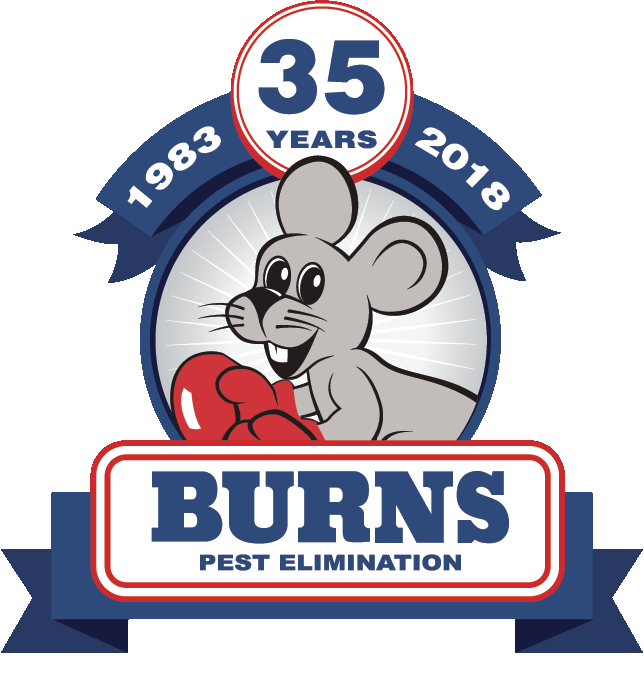 burns-logo