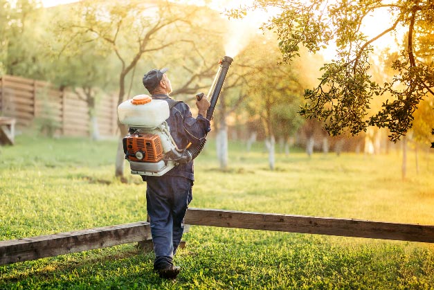 Man spraying for mosquitoes outdoors.