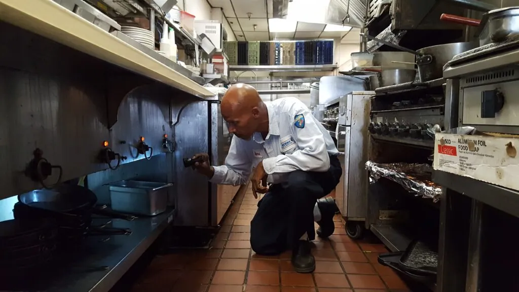 Burns Pest Elimination technician inspecting restaurant kitchen.
