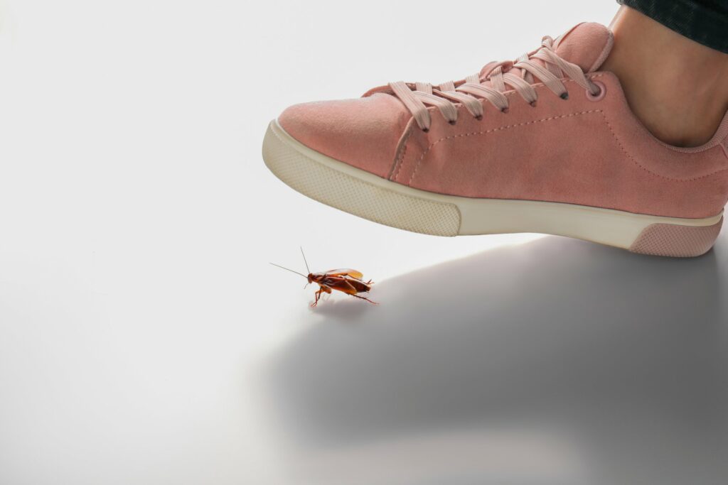 A pink sneakered-foot hovers above a cockroach, ready to stomp it