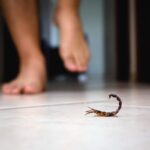A view of a scorpion crawling across a tiled floor in front of a pair of bare feet.