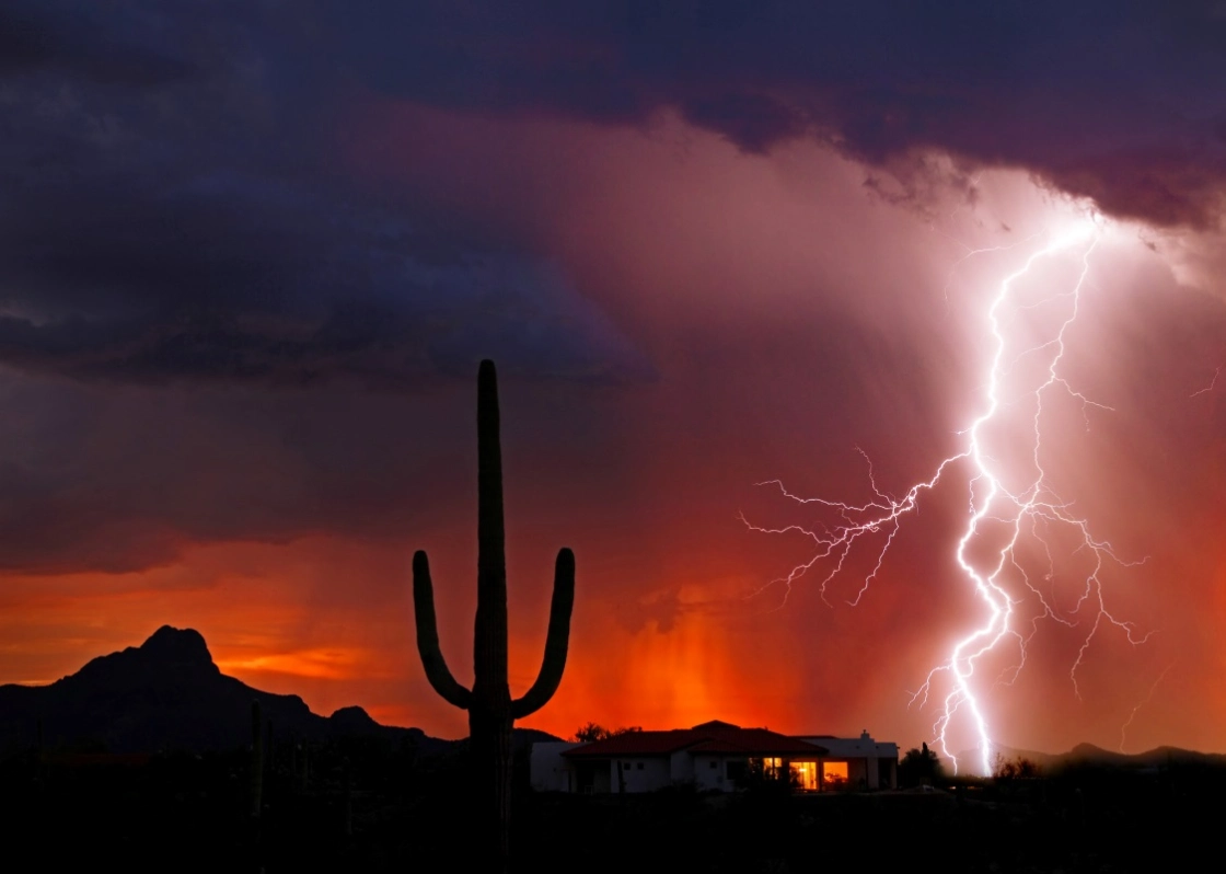 Lightning striking in the desert behind a cactus.