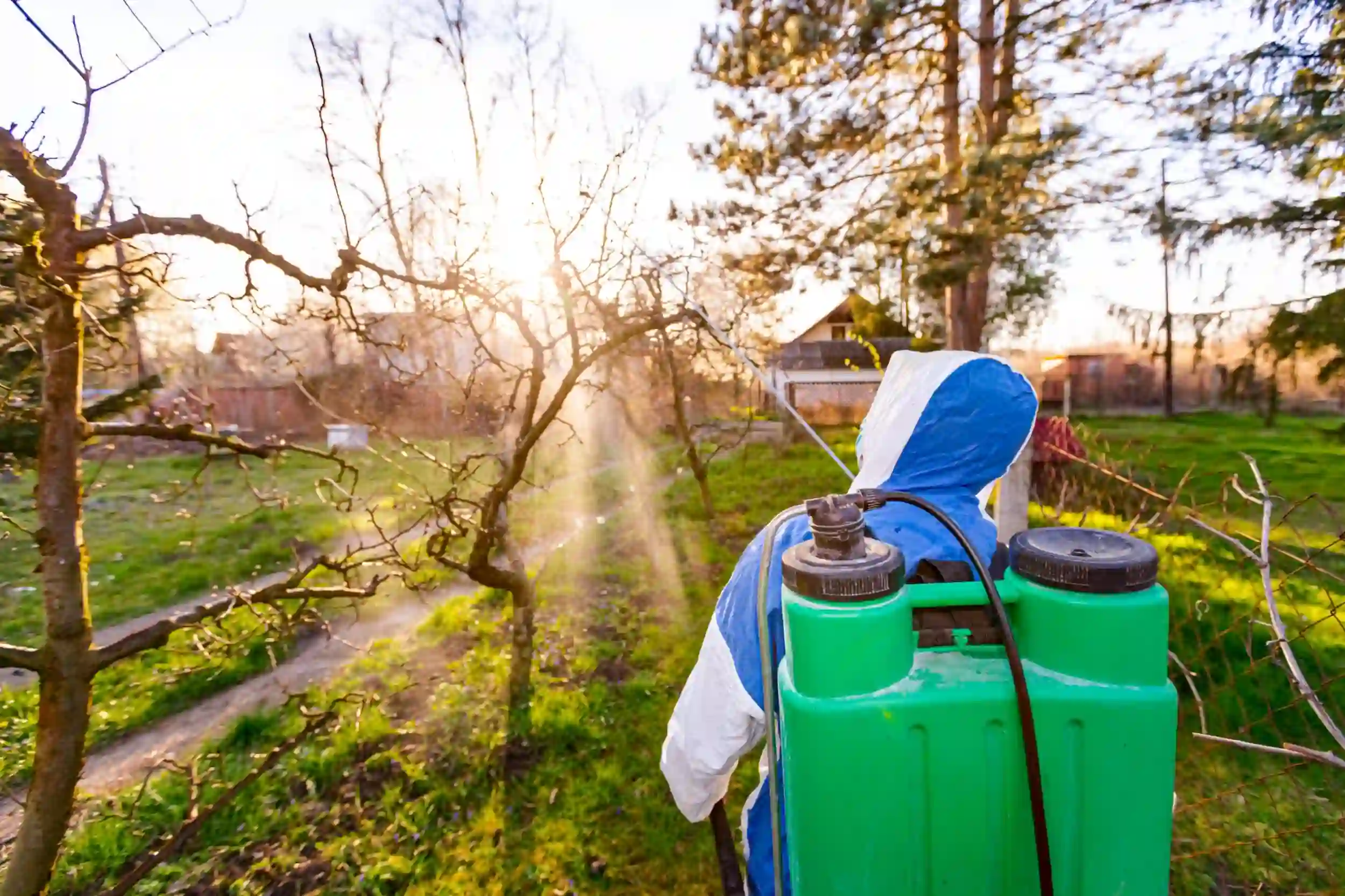 Pest technician spraying a tree.